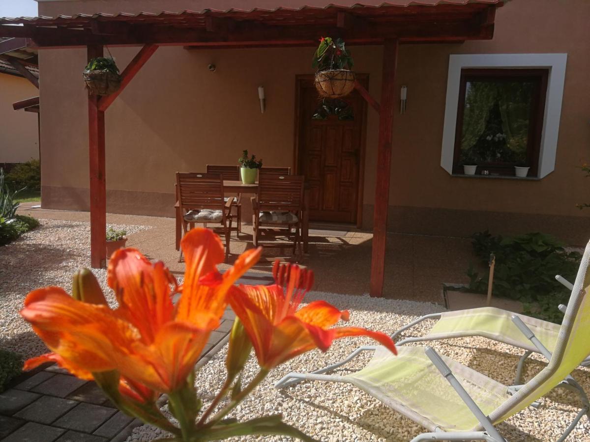 Agnes Vendeghaz Apartment Гюла Екстериор снимка