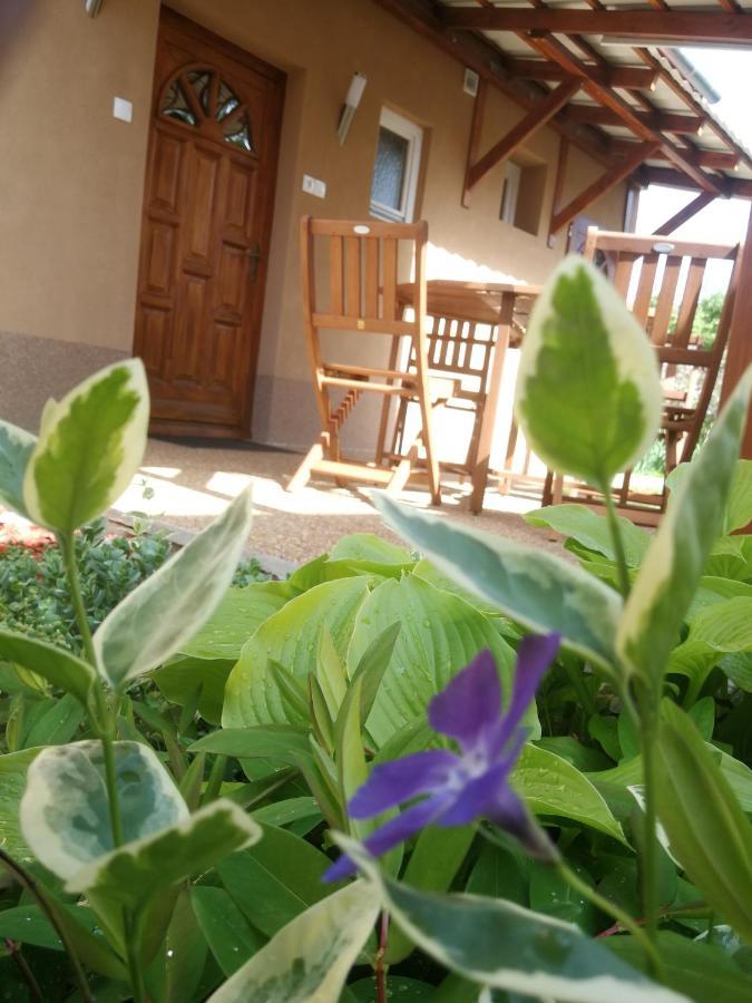 Agnes Vendeghaz Apartment Гюла Екстериор снимка